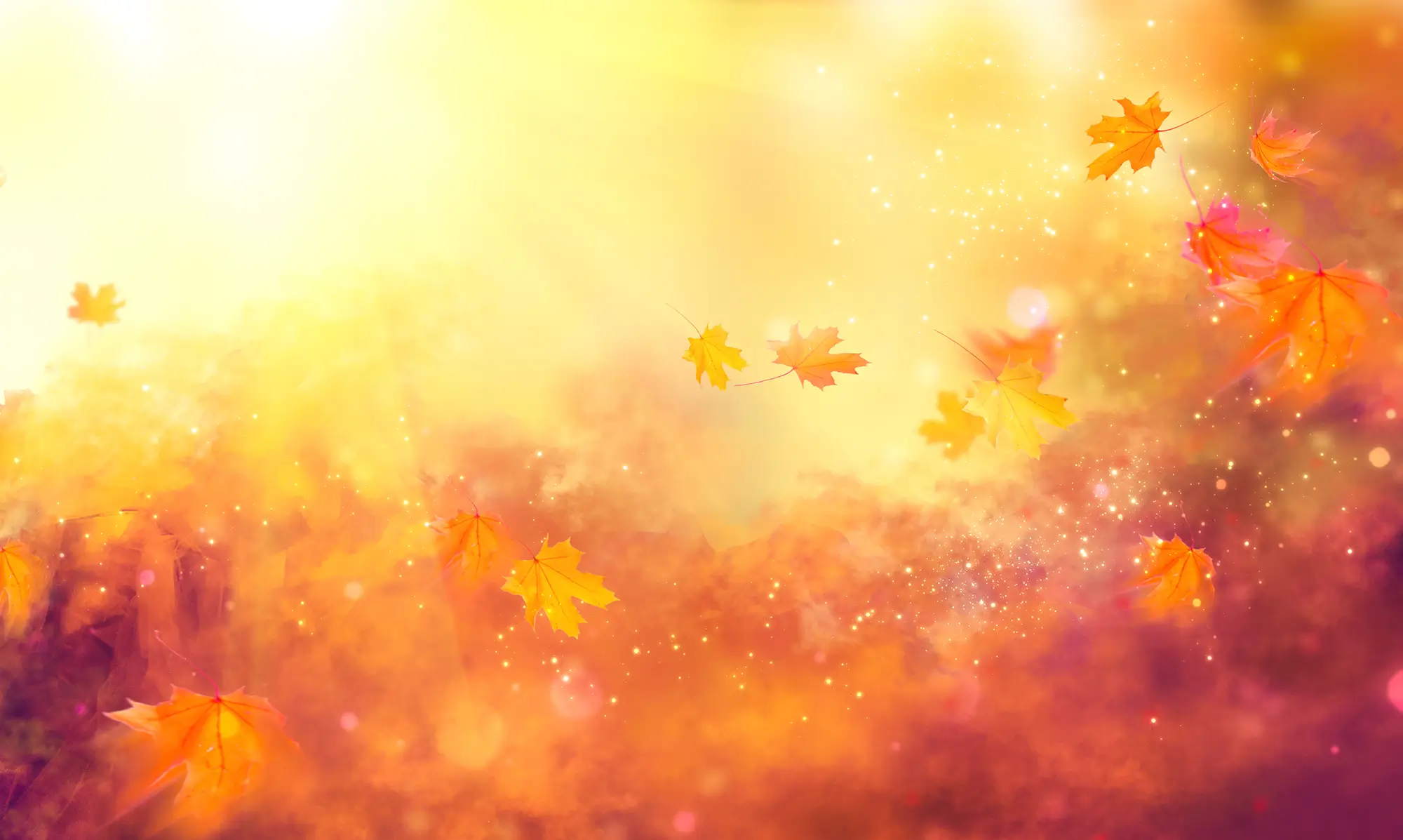 Herbstgeflüster Tiefe Ruhe